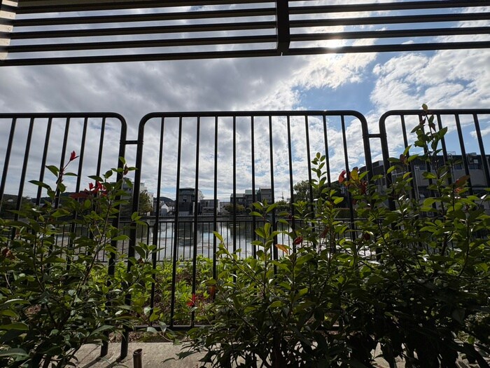 物件内観写真17　(室内からの展望)