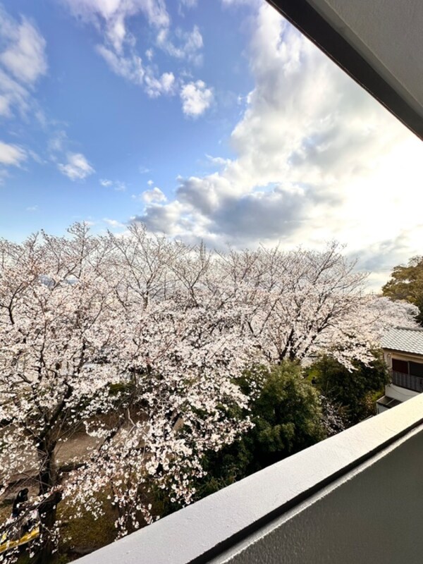 室内からの展望