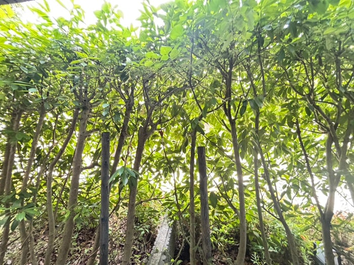 物件内観写真16　(室内からの展望)