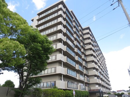 ｸﾛ-ﾊﾞ-ﾊｲﾂ初芝ｳﾞｨﾌﾟﾚ(703)外観写真