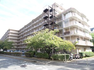 千里一条池ｽｶｲﾊｲﾂＣ棟（414）外観写真