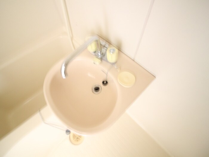 シャト-瑞穂の洗面