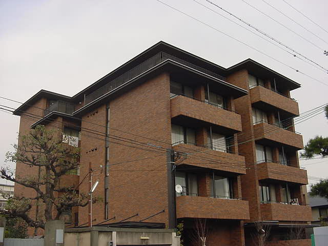 ＰＩＥＮＥＺＺＡ帝塚山
