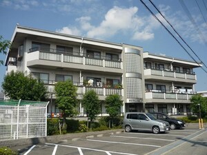 第２モンセリバァ外観写真