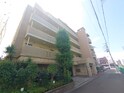 プチエトワ－ル