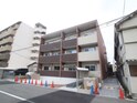 フレグラント　オリーブ