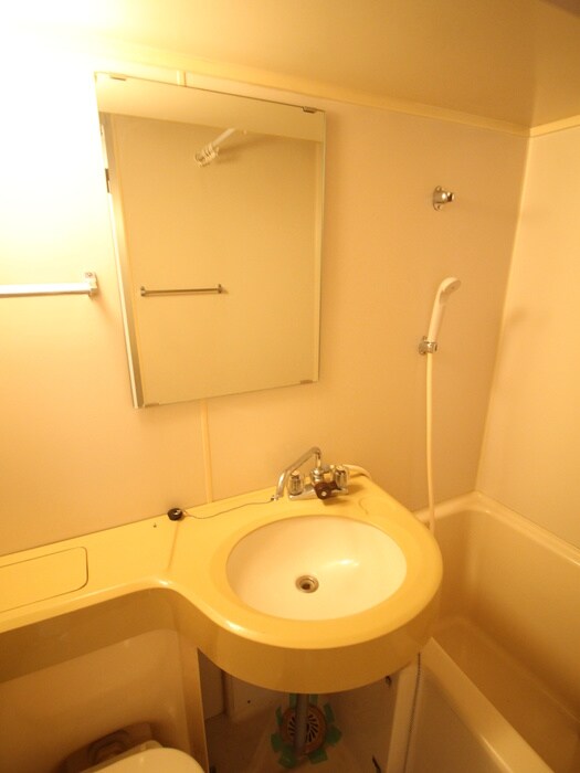 ﾗｲｵﾝｽﾞﾏﾝｼｮﾝ新大阪第３(301)の洗面