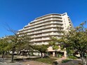 西宮ﾏﾘﾅﾊﾟｰｸｼﾃｨ・花のまち(805)