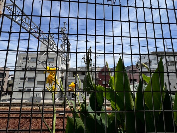 物件内観写真17　(室内からの展望)