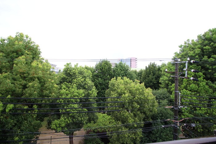 物件内観写真16　(室内からの展望)