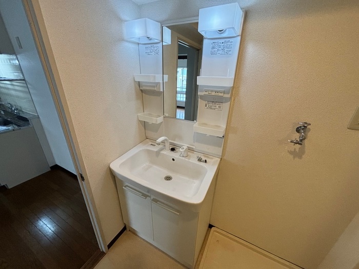 物件内観写真13　(洗面)