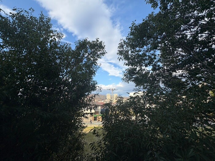 物件内観写真18　(室内からの展望)