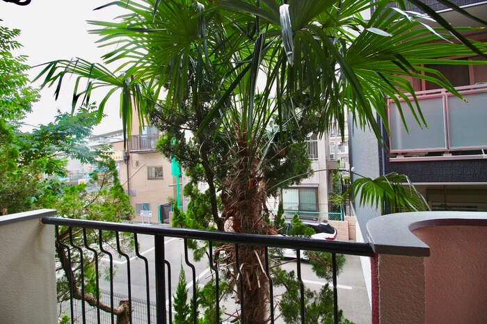 物件内観写真16　(室内からの展望)