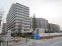 ミリカ・テラスⅠ街区（302）
