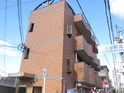 ツインクル