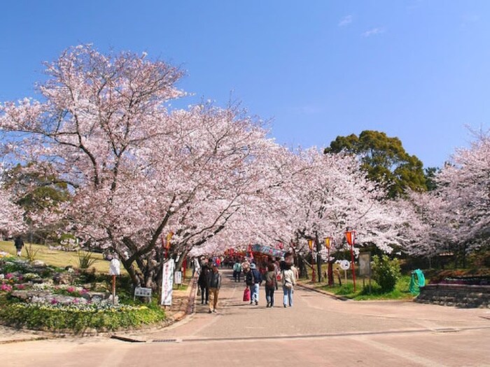 日岡山公園