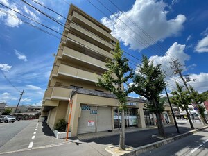 シャンポ－ル蜂の壺外観写真