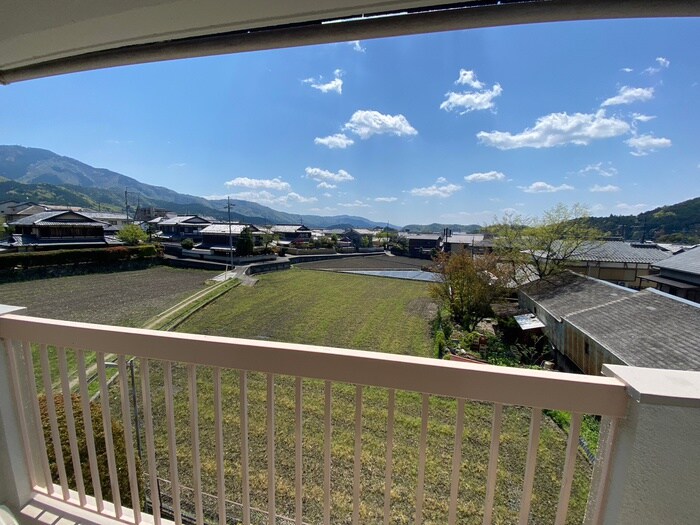 林マンションの室内からの展望