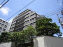 パレーシャル34