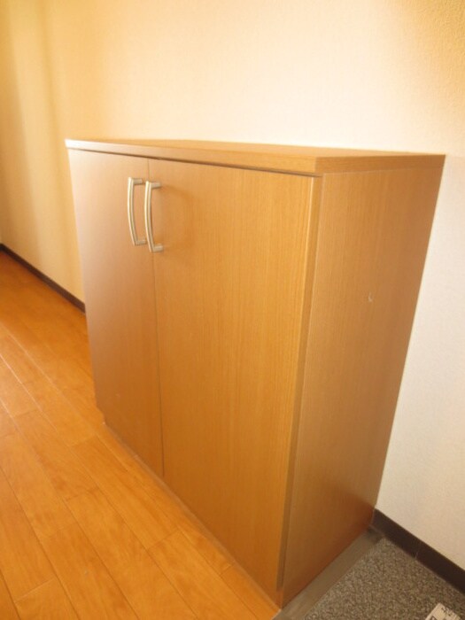 物件内観写真20　(靴箱)