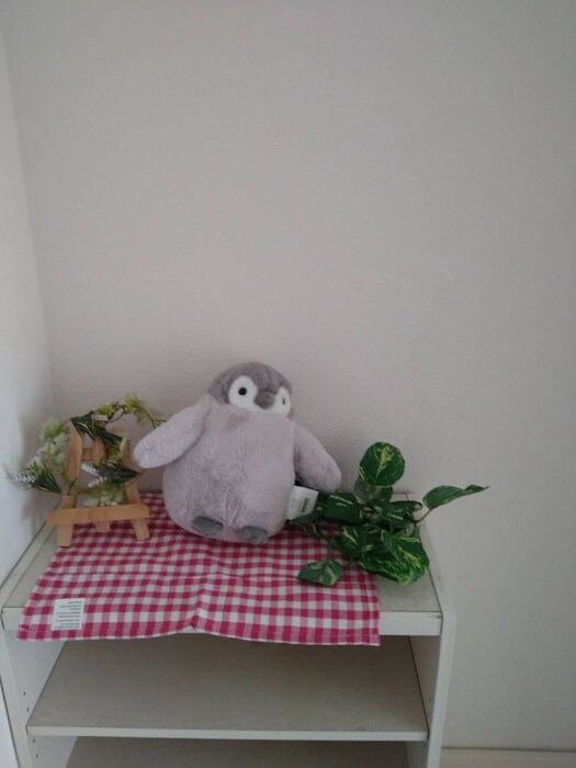 物件内観写真22　(内観写真)