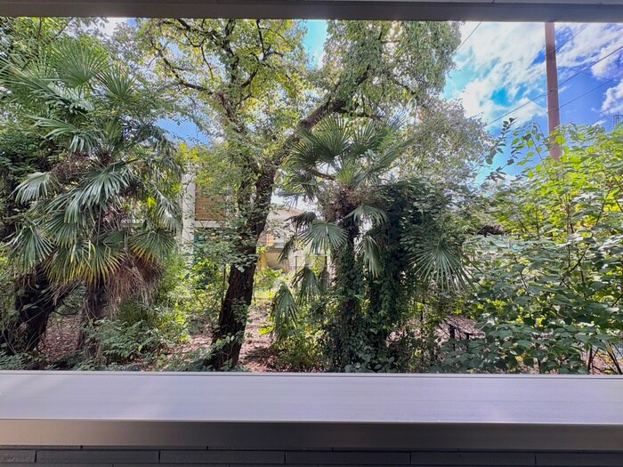 物件内観写真20　(室内からの展望)