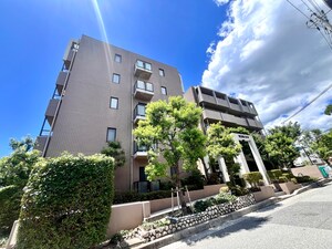 セレナ夙川(210)外観写真