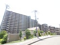 ｼﾞｵ緑地公園ｼﾃｨﾌｫﾚｽﾄ(1207)