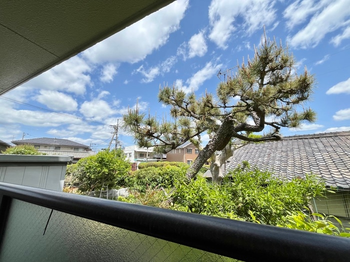 物件内観写真19　(室内からの展望)