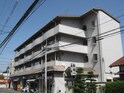 ハイム森田