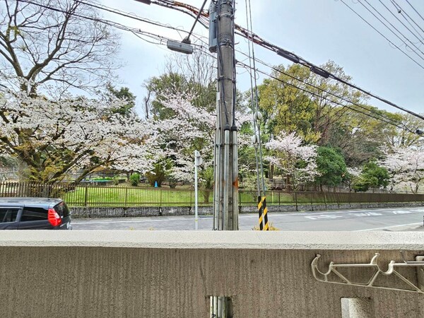 室内からの展望