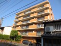 ﾗｲｵﾝｽﾞﾏﾝｼｮﾝ一条智恵光院（601）
