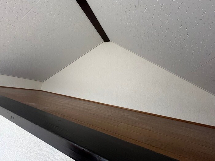 物件内観写真21　(ロフト)