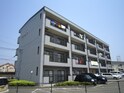 シェモア２１