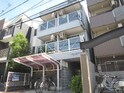 ネオパルマ