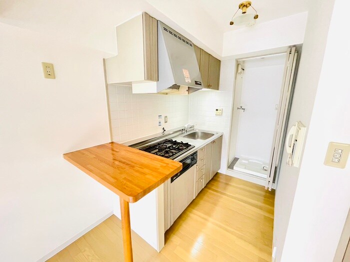 物件内観写真10　(キッチン)