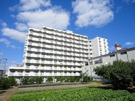 豊中ロイヤルマンション(908)外観写真