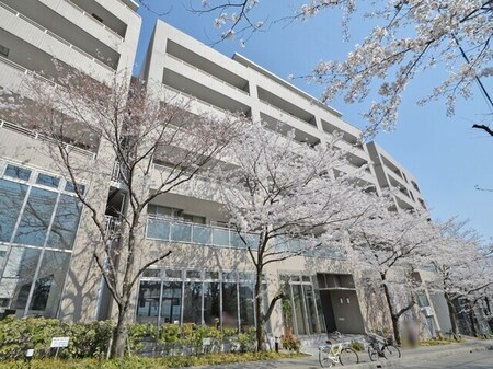 ﾙﾈｼｰｽﾞﾝｽﾞ千里の丘1番館（407）外観写真