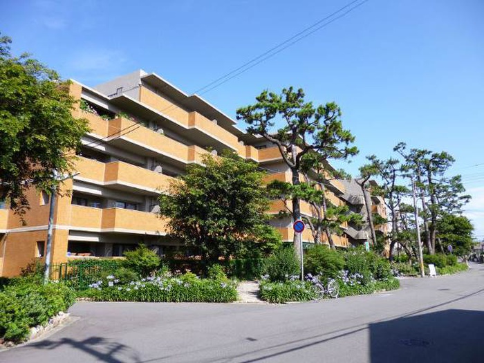 ロイヤル芦屋松浜(529)