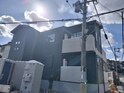 ネストハル