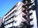 サンロイヤル西宮(302)