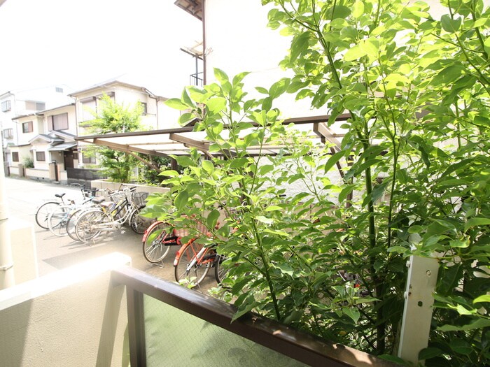 物件内観写真22　(室内からの展望)