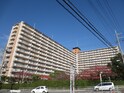 牧野駅前ハイツ(103)