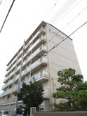 エクセム