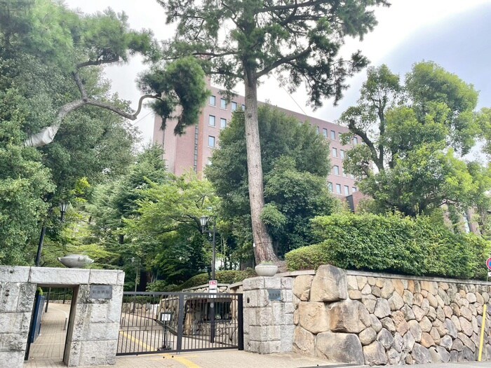 甲南大学