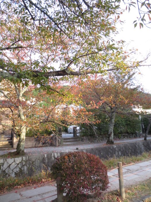 物件外観写真5　(周辺環境)