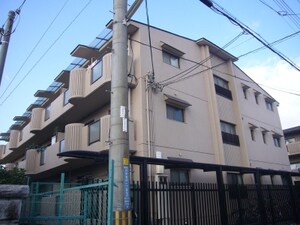 ﾒｿﾞﾝﾌｧﾐ-ﾙ外観写真
