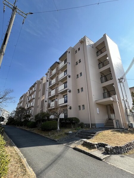 村田住宅(男山第４住宅)313棟外観写真