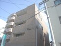 コンフォ－ル