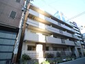 ライトオブホンダ